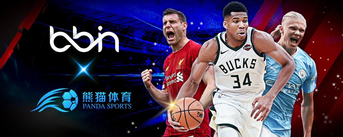 都是一个不